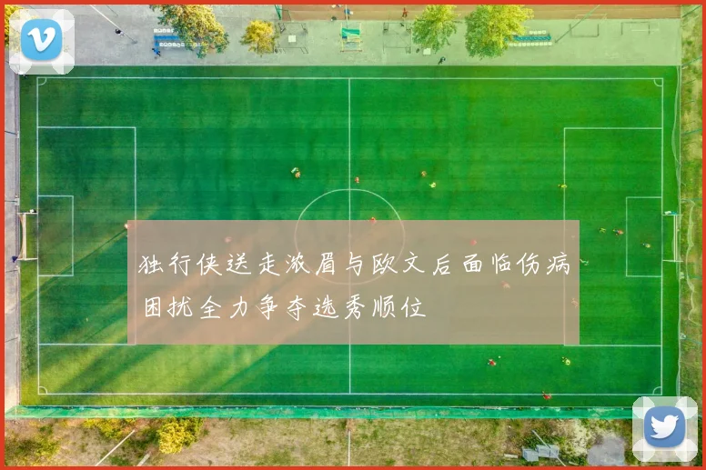 独行侠送走浓眉与欧文后面临伤病困扰全力争夺选秀顺位