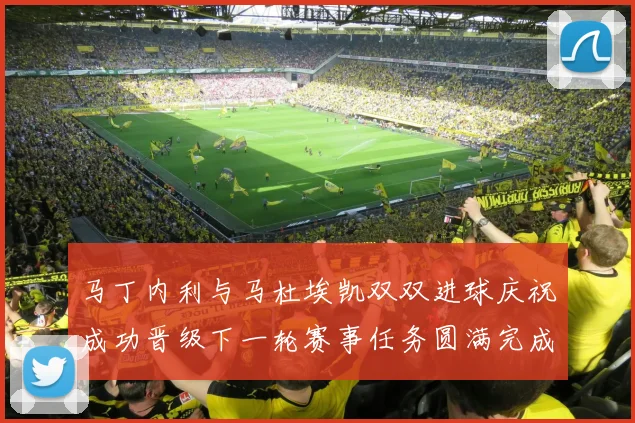 马丁内利与马杜埃凯双双进球庆祝成功晋级下一轮赛事任务圆满完成